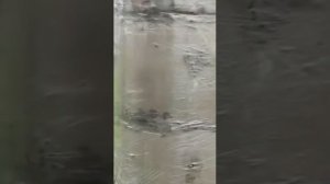Бурим колодец за один день Тульская область