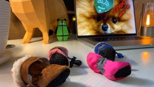 У СОБАКИ ТРЕСКАЮТСЯ ПОДУШЕЧКИ НА ЛАПАХ ? Что делать? Кратко 3 метода