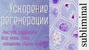 Ускорение регенерации. Заживление всех видов травм. Скрытые аффирмации. Саблиминал. Subliminal.