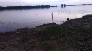 Рыбалка в Селитренном