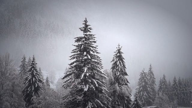 ?15 февраля–Сретение Господне?Что нельзя делать??Приметы и поверья