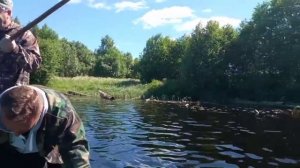 Лес и река (Новокемский, Вашкинский район, река Кема)