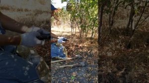 Как убрать заросли на участке. How to remove thickets on the site  .