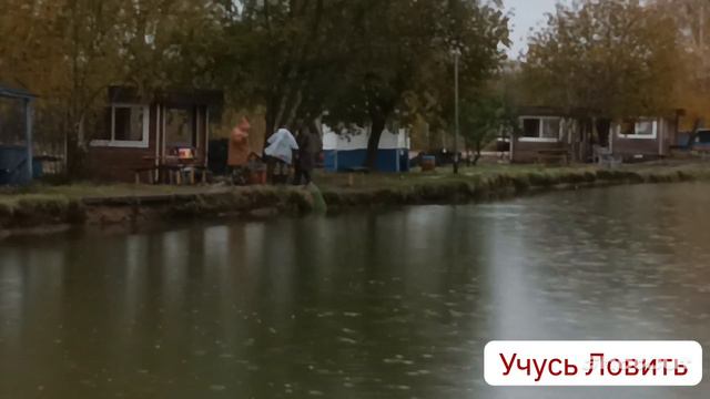 Ловим карпиков. Платная рыбалка "Клёвая Усадьба". Закрыли сезон 2023 смотреть онлайн