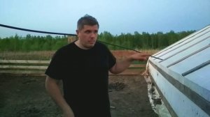 Тентовое содержание свиней. Канадская технология / Вьетнамские свиньи