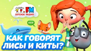 Как говорят лисы и киты? Веснушка и Кипятоша расскажут!