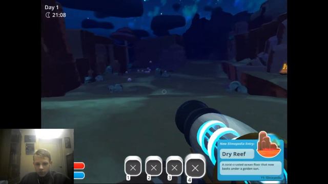 Slime Rancher 1 Чикадо Маленький
