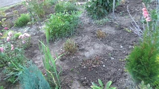 Новые клумбы !!! смотреть онлайн