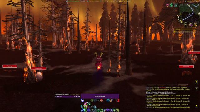 Nicht allen passt dieselbe Größe - Wrath of the Lich King Classic/Retail Quest смотреть онлайн