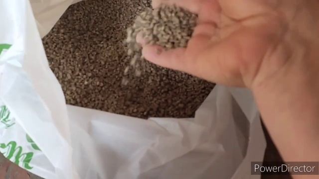 Славянск 19.05.23.Шок от увиденного ‼️ Пришлось срочно выселять.?? смотреть онлайн