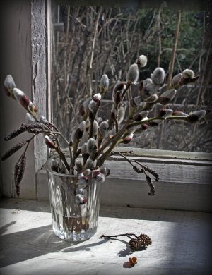 Маленькая вербочка.wmv