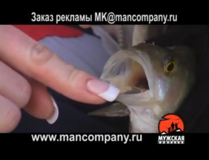 МК: Ловля окуня на мормышку