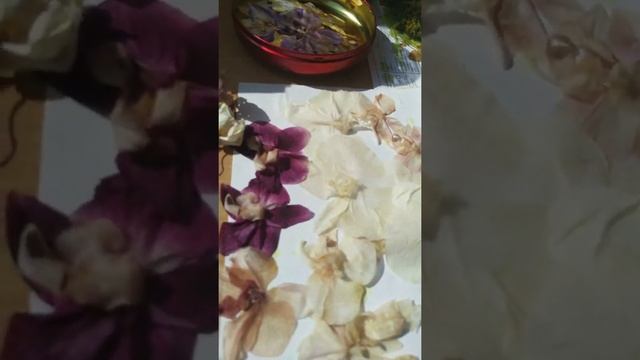 Стабилизация мха результат!   #мох #дизайн #фитодизайн #стабилизация
