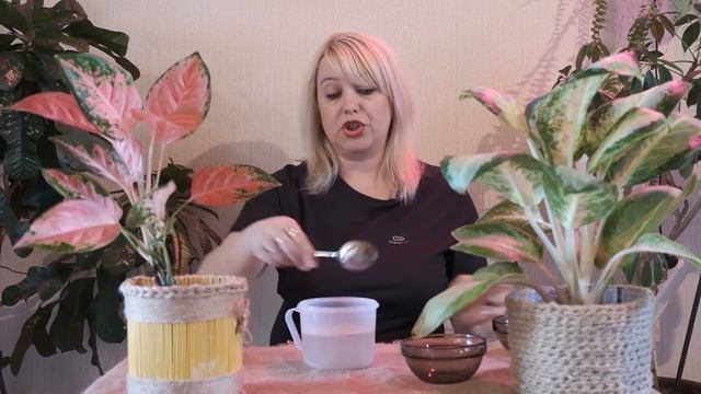 Как выращивать дома цветы: секреты профессиональных цветоводов