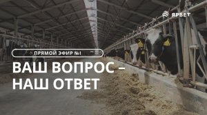 Ответы на вопросы о кормлении КРС