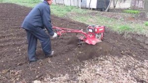 Культивирование огорода с компостом дизельным мотоблокам