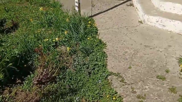 вроде воскресенье а рабо ты полно потому как веснп смотреть онлайн