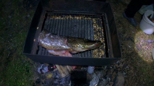 Поход и рыбалка в Карелии 18+ смотреть онлайн