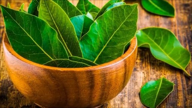 Начните сжигать в доме по 1 лавровому листу и вы удивитесь, что произойдет смотреть онлайн