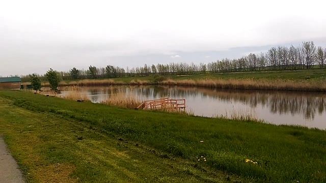 База отдыха золотой сазан лето 18го смотреть онлайн