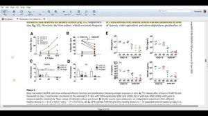 Reducing ex vivo culture improves the antileukemic activity of chimeric antigen receptor CAR T cell