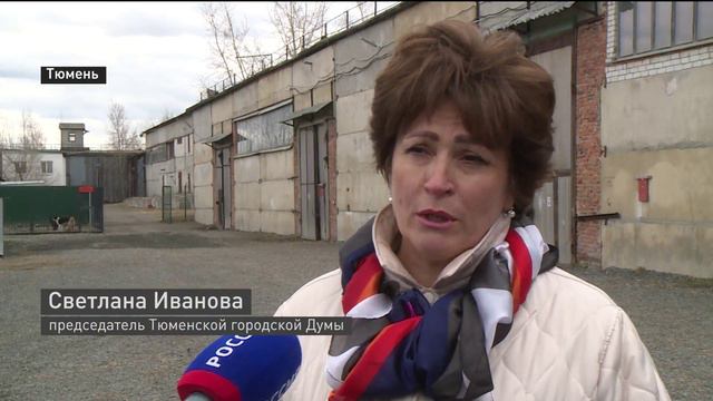 Тюменцев могут привлечь к ответственности за оставленного на улице питомца