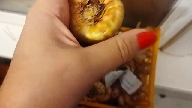 Хранение луковиц гладиолусов зимой смотреть онлайн