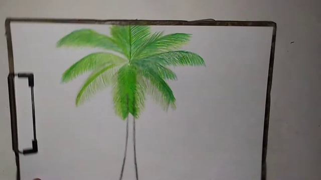 Rəsm - Palma Ağacı Necə Çəkilir - How to Draw Palm смотреть онлайн