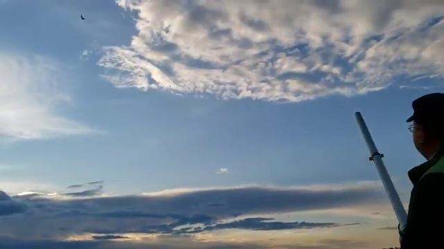 Как прикормить рыбу быстро и точно. смотреть онлайн