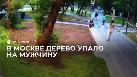В Москве дерево упало на мужчину