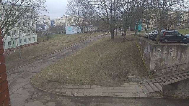 VID_20240301_123141