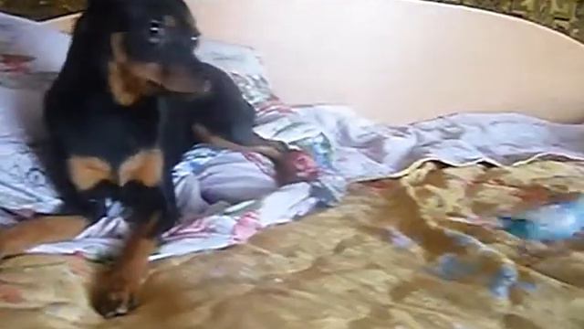 P1070241 смотреть онлайн