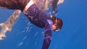 Снорклинг с акулами. Мальдивы | 22.02.2022 | Борис Трушин