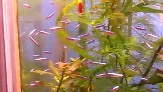 MVI_0131.MOV смотреть онлайн