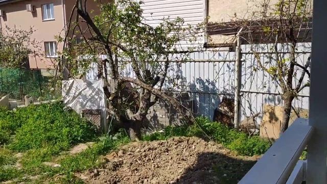 дом в Сочи/на участке 5 соток/240м2 с ремонтом/отдельный вход на 2 этаж/п.Верхневесёлое/