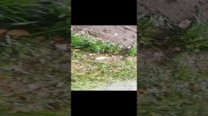 Заберают кран