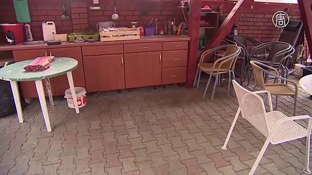 Поляк спас белку, и теперь она не уходит смотреть онлайн