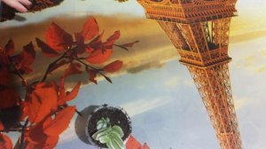 Традесканция Розовый Холм. (Pink Hill) посадка.