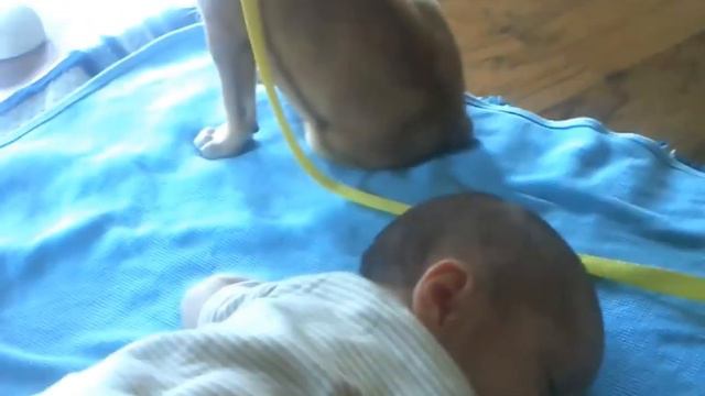 Sleepy Puppy falls asleep on baby1
