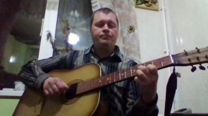 Ромашки спрятались