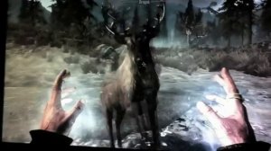 Skyrim funny bug (filmed with a potato)!!!