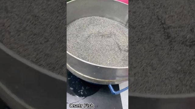 Настоящая Астраханская черная икра забойная