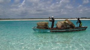 Африка видео обзор. Онлайн экскурсия по Африке.