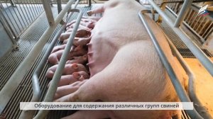 Содержание животных. Современные технологии животноводства. Технология. 6 класс