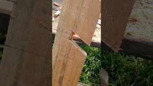 Лестница в подвал своими руками