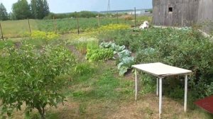 Цоколь забора из шифера - оригинальный фундамент к забору.