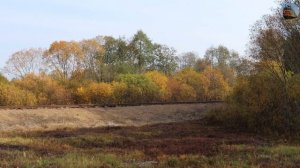 Ретро поезд. Рускеальский экспресс Москва-Переславль. Паровоз П36-0110 Генерал.