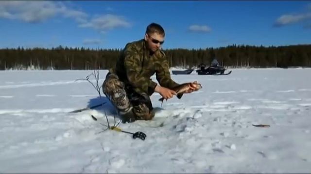 Пять дней в тайге. кордон рыбалка март месяц. смотреть онлайн