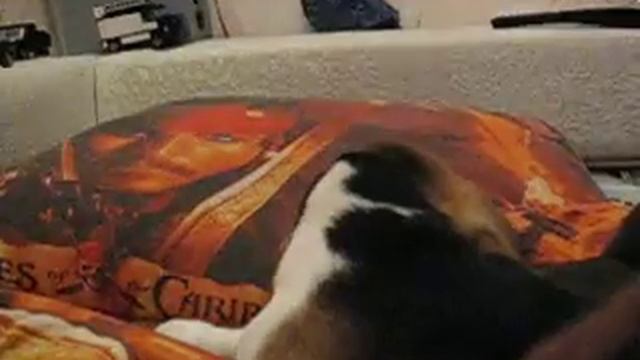 MVI 0401 смотреть онлайн