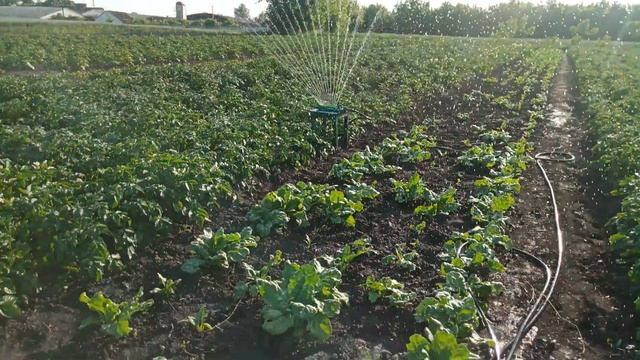 Як працює осцилюючий зрошувач VERTO смотреть онлайн